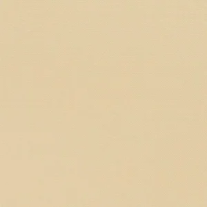 Serviette 38×38 Celi-Ouate Vanille /50