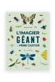 L’imagier géant du Père Castor ‘Les insectes’ | FLAMMARION