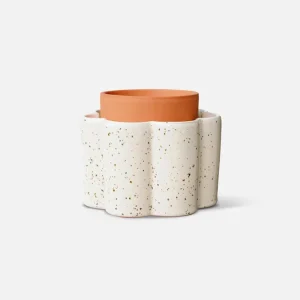 Paulita ‘Blanc grainé’ | PEPIN