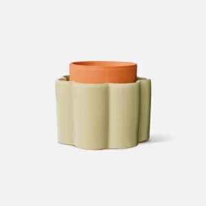 Paulita ‘Sauge’ | PEPIN